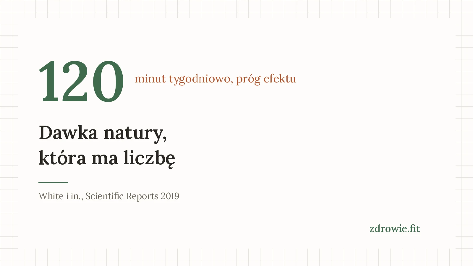 Spacer w lesie i kontakt z naturą: 120 minut tygodniowo