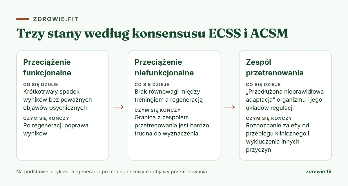 Infografika: regeneracja po treningu siłowym, trzy stany według konsensusu ECSS i ACSM
